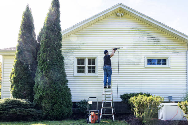 Trusted Madison Heights, VA Pressure Washing Experts